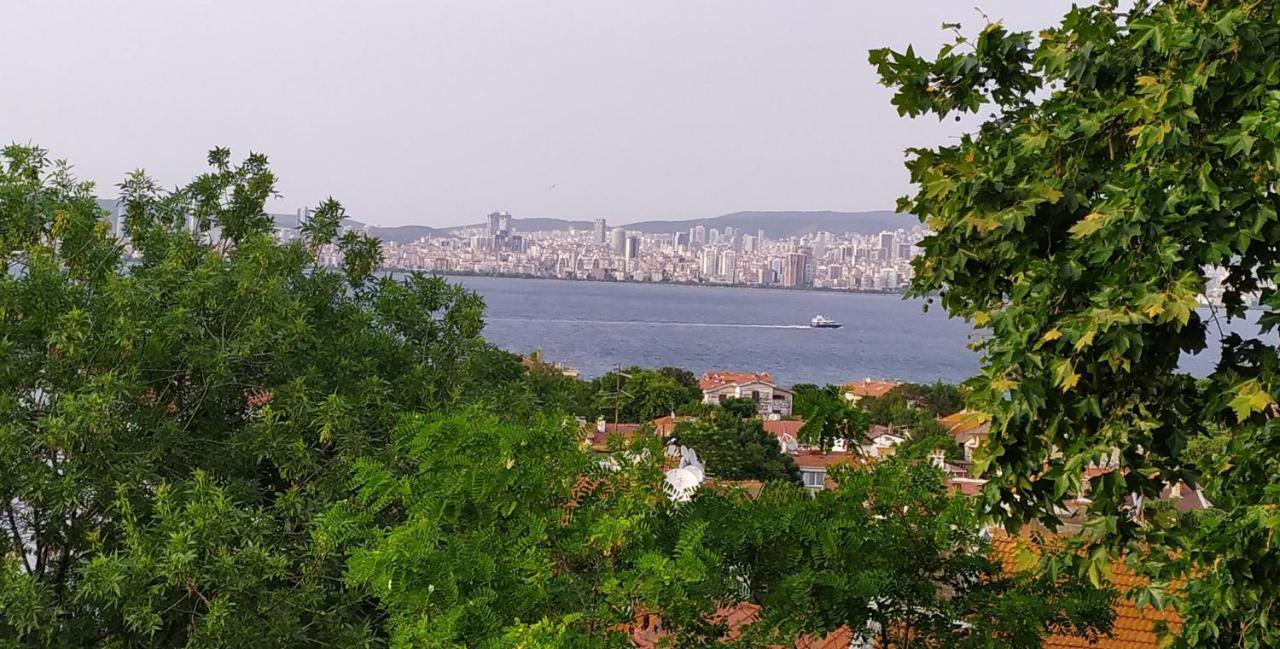 Bueyuekada Anastasia Meziki History Mansion Adalar Luaran gambar